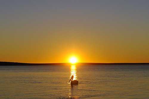 sunset monkey bay shark nikon sonnenuntergang pelican mia western australien nikkor australlia 2470 d700