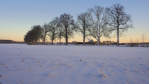 schnee winter snow netherlands sunrise sneeuw nederland horn limburg niederlande zonsopkomst