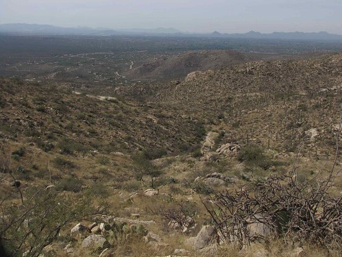 arizona usa mountains cacti landscapes desert unitedstatesofamerica gps 2009