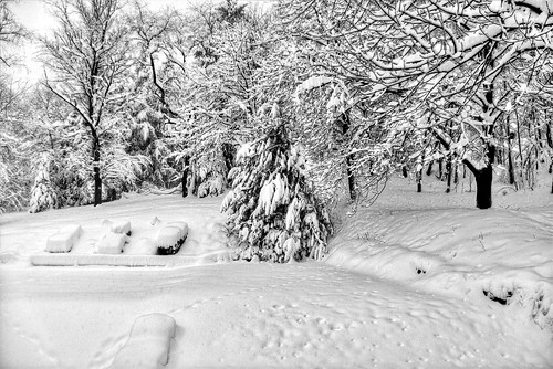 winter bw snow cold monochrome photoshop nikon pittsburgh tripod hill neighborhood flare nikkor snowfall blizzard hdr highdynamicrange sunflare cs4 photomatix d40 snowpocalypse tonemapped d40x
