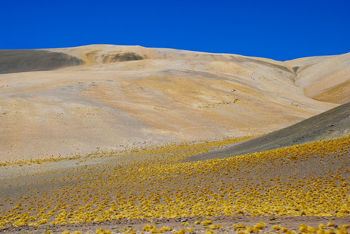 chile blue colors yellow azul landscape desert paisaje paisagem amarillo amarelo ap atacama andes desierto copiapo desiertodeatacama cordilleradelosandes 6miles pasodesanfrancisco