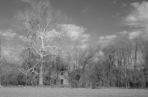 winter blackandwhite abandoned landscape virginia ruins decay easternshore vacant decrepit decayed cashville onancock blackwhitephotos accomack
