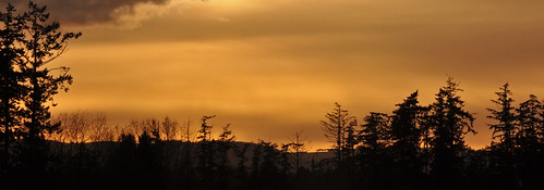 trees sunset orange black clouds sydney vancouverisland deepcove f22 silhoutte wispy 105mm 18105mm mikeandmannies 567682