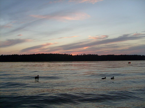 sunset sky cloud lake bird see evening abend duck sonnenuntergang himmel wolke ente vogel mecklenburg müritz mueritz müritzsee mueritzsee