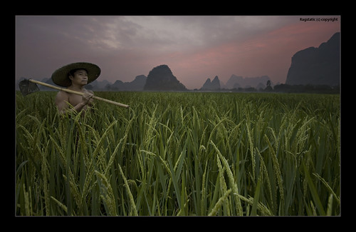 world life china morning travel light red sky people mountains green heritage nature dawn nikon exposure view rice paddy earth guilin rags yangshuo glory quality culture scene human fields farmer ng karst publication nationalgeographic spade subtle guangxi lifescape xingping d700