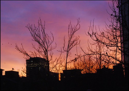 seattle winter sunrise washington nikon colorful downtown belltown coldmorning nikond80 70300mmf4556 afsvrzoomnikkor70300mm