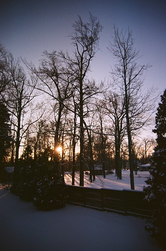 morning trees winter snow silhouette sunrise nikon michigan unedited 0910 n65 orchardlake