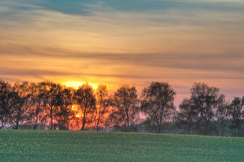 bayern deutschland sonnenuntergang fürstenfeldbruck hdr frühling landschaften gegenlicht rapsfeld