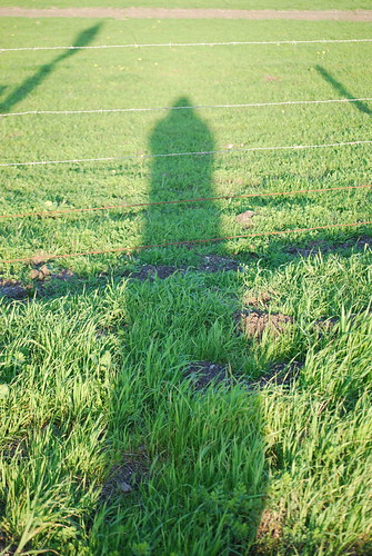 shadow foothills green grass outside nikon nipomo d40x