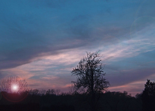 sunset ohio cleveland kirtland holdenarboretum woodpeckertree pyruscommunis lanterncourt commonpeartree sunsetonpeartree