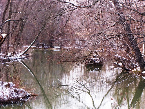 travel trees usa snow reflection nature water canon landscapes daylight scenery view state south country peaceful powershot hills daytime arkansas tranquil ozark sx10is waltphotos