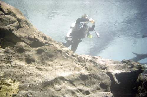 florida diving springs