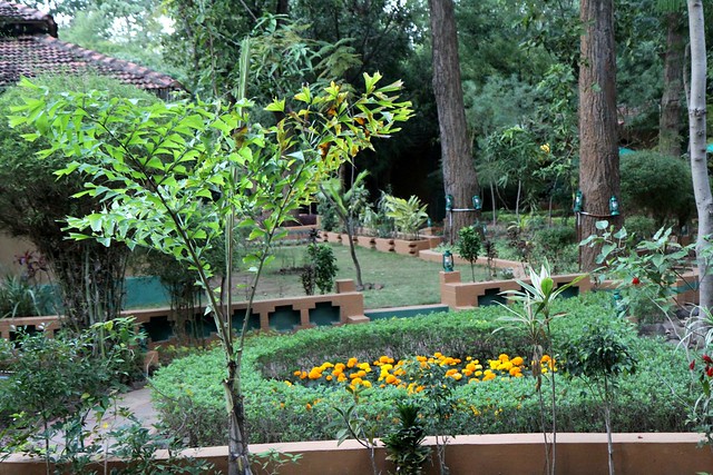 bandhavgarh resorts nature heritage resort