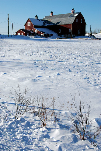new winter snow canada cold field barn farm farming brunswick harvey frigid