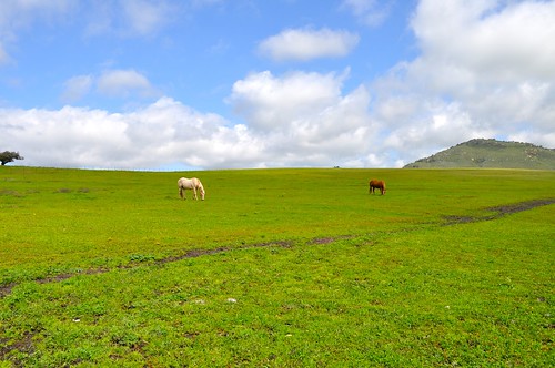 ranch sky horse grass clouds farm hills