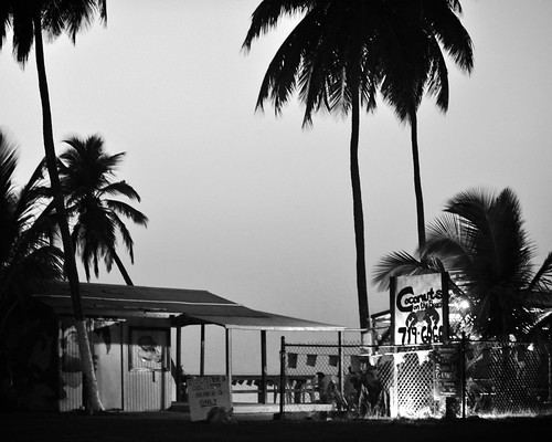 blackandwhite bw restaurant outdoor palmtree caribbean chainlinkfence filmnoir frederiksted usvirginislands saintcroix project365 afsvrzoomnikkor70200mmf28gifed 118365 nikond700 coconutsonthebeach 365dpsmembermap