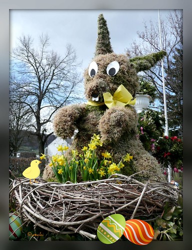 schweiz switzerland moss eggs bäume daffodils easterbunny osterglocken osterhase eier lostorf ruschie lovely~lovelyphoto moostrees