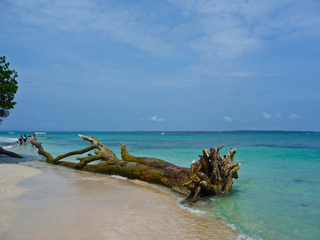 4 Things to Do When you Travel to Bocas del Toro, Panama