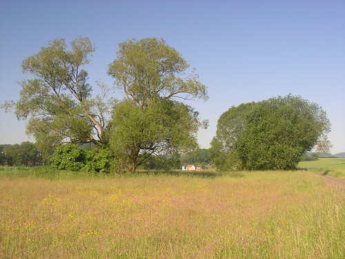2005 landscape spring amönau