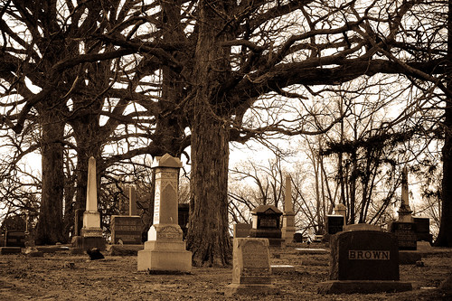 cemetery bloomingtonilarea downsil