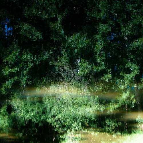 d5000 kokosingriver nikon abstract distortion forest landscape natural noahbw reflection river square summer sunlight trees water woods treesinwater painterly