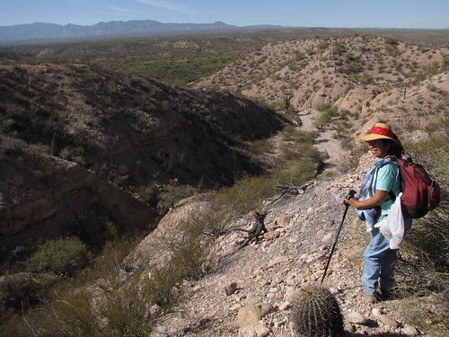 arizona plants usa mountains portraits cacti landscapes desert unitedstatesofamerica hats gps 2009 queta