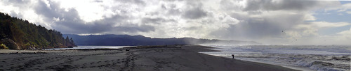 ocean california panorama beach point humboldt lagoon patricks biglagoon