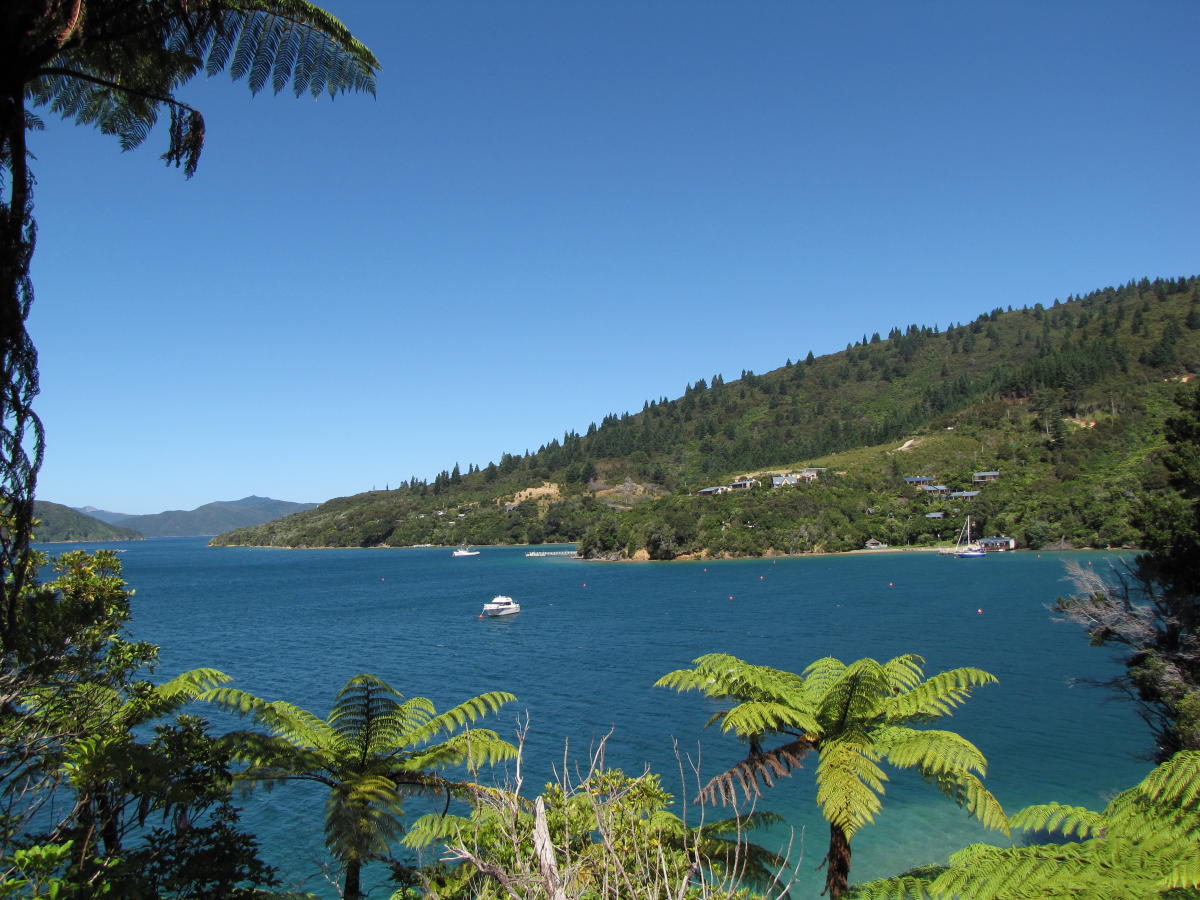 Queen Charlotte Track