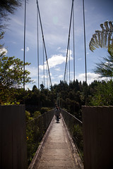 Arapuni Swing Bridge