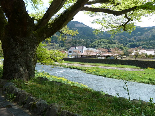 trees houses mountains building water japan buildings landscapes hills rivers tsuwano honshu