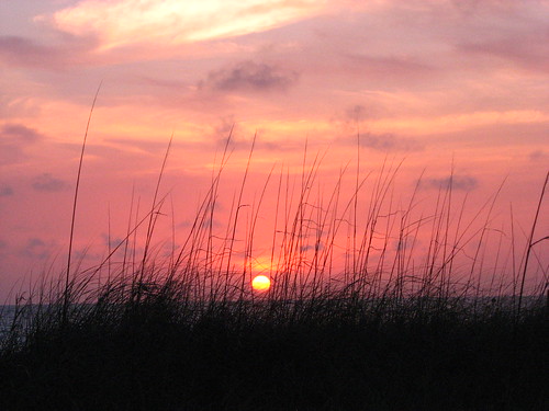 sunset beach canon florida powershot fl s3