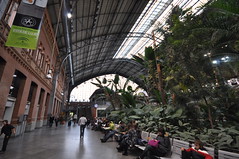 Estación de Atocha (Atocha railway station) - Interior Plaza