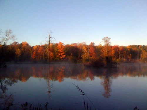 morning autumn trees lake pond calm relection blesky