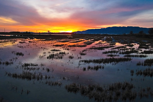 sunset reflections atardecer landscapes delta catalunya ebro tarragona reflejos gmt arrozal basajauntxo pàisajes