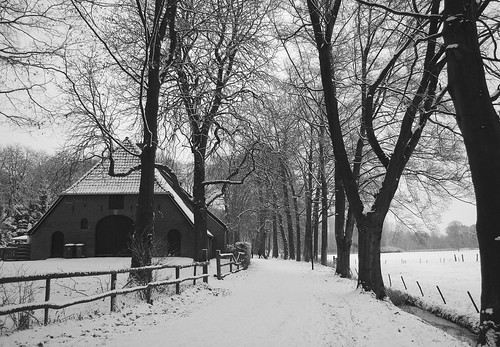 winter bw white snow black holland netherlands forest farm sneeuw nederland bos zwart wit achterhoek boerderij gelderland paasberg terborg muldershuis paasberglaan