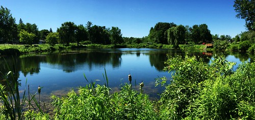weather hoveypondpark pond reflections trees sky quotes queensburyny cf17 challengefriday july summer panorama landscape nature