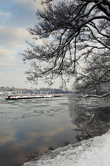 Winter, Årsta Bay