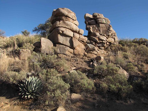 arizona plants usa mountains landscapes desert unitedstatesofamerica gps 2009