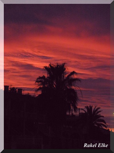 sunset españa rouge atardecer spain rojo europa raquel murcia palmera elke siluetas mediterráneo rakel natureselegantshots thebestofmimamorsgroups rakelelke