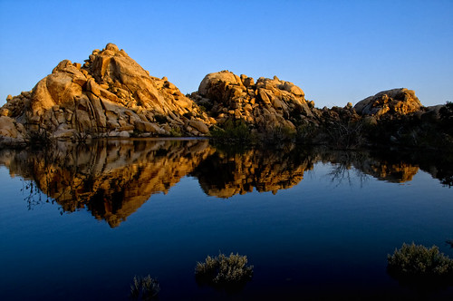 california reflection water sunrise nationalpark desert joshuatree reservoir land barkerdam billwight availableforlicensing