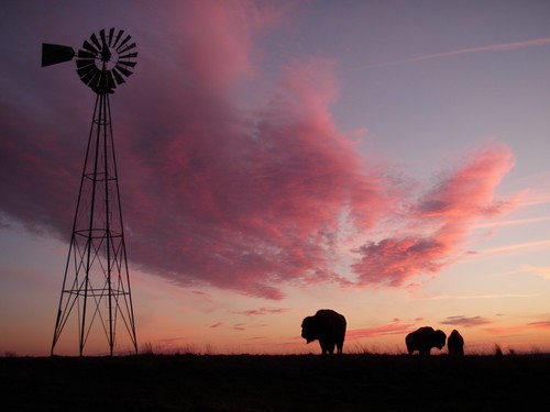 morning red sky west history weather clouds rural sunrise fence buffalo texas farm windmills bison eyeinthesky parkercounty weatherphotography cloudsstormssunsetssunrises