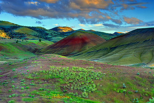 flowers light sunset shadow red green texture yellow oregon spring nikon sandstone colours or mitchell blooms shape paintedhills sagebrush johndayfossilbedsnationalmonument paintedhillsunit claystone d700