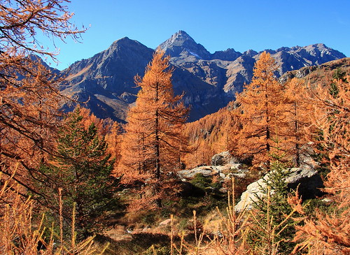 italien autumn italy mountains colors landscapes italia colours gio autunno colori italie ayas valdaosta panorami mantagne larici bellitalia platinumpeaceaward