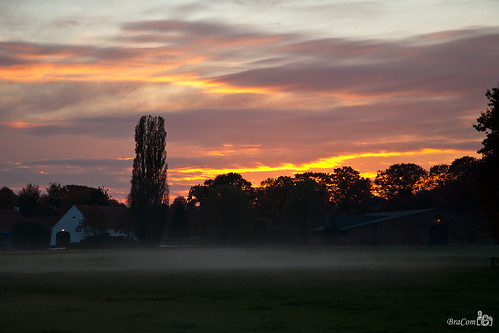 autumn sunset sun mist tree grass fog clouds barn glow farm meadow tistheseason bracom bramvanbroekhoven