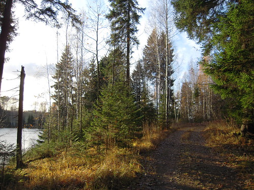lake estonia puhajarve