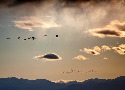 winter storm west silhouette clouds canon geese wyoming fremontcounty
