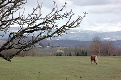 Le Vercors en hiver - Photo of Roybon