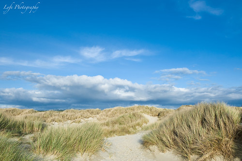 ocean oregon dunes pacificocean oregoncoast bandon bandondunes lyfephotography