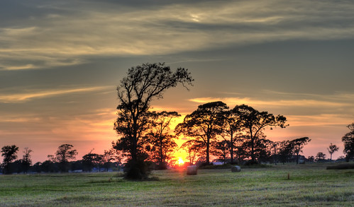 trees sunset sun field 50mm nikon texas hempstead hdr waller f35 d90