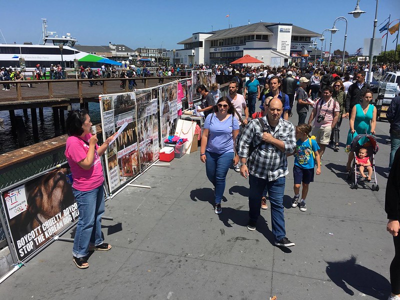 San Francisco, Fisherman’s Wharf Leafleting Event – July 1, 2017